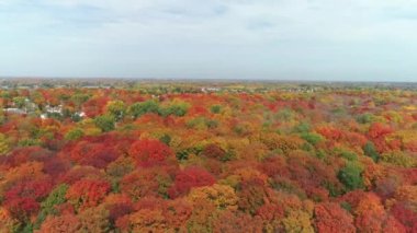 Drone video rotating from left to right above the colorful trees of Fall, with orange, red and gold leaves, during a sunny day with some clouds