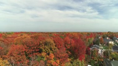 Drone crane shot moving up above the colorful trees of Fall, with orange, red and gold leaves, during a sunny day with some clouds