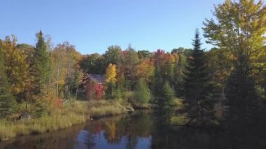 Drone crane shot moving up above the lake and the colorfull leaves of autumn
