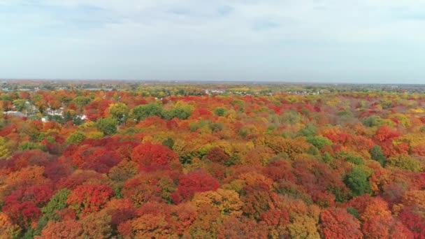 Drone Video Rotating Left Right Colorful Trees Fall Orange Red — Stock videók