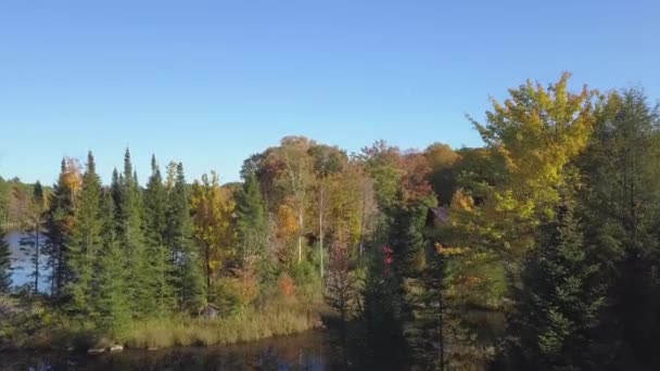 Drone Crane Shot Moving Lake Colorfull Leaves Autumn — Video