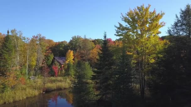 Drone View Panning Lake Colorfull Leaves Autumn — Vídeo de Stock