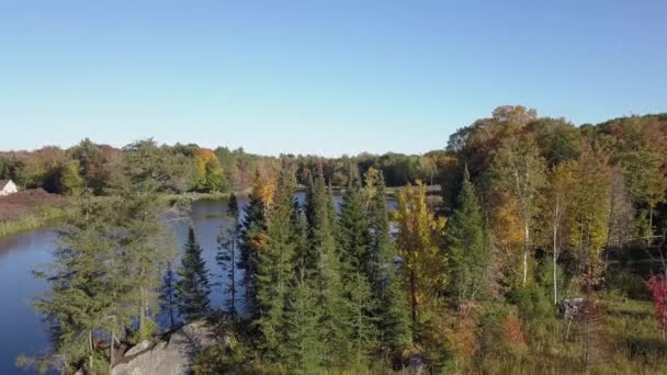 Drone Crane Shot Rising Colorful Trees Autumn Revealing Beautiful Panorama — Vídeo de stock