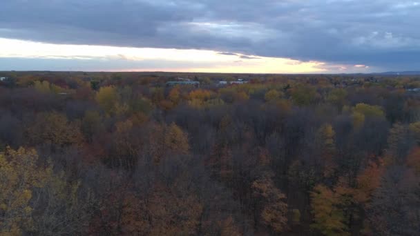 Drone Tir Volant Dessus Des Arbres Automne Coucher Soleil Révélant — Video