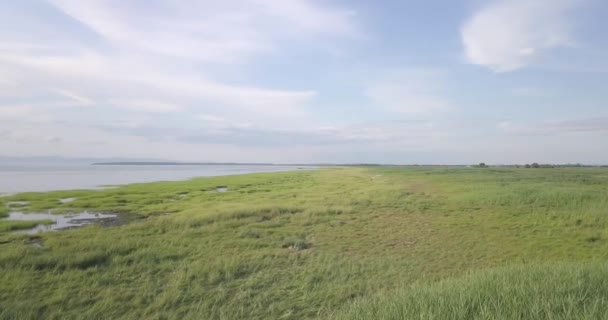 Woman Walking River Low Tide Some Green Grass Cloudy Sky — Stock Video