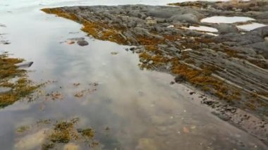 St-Lawrence Nehri 'nin alçak gelgiti sırasında St-Ulric, Qc sahilindeki kayaları gösteren alçaktan uçan dron videosu..