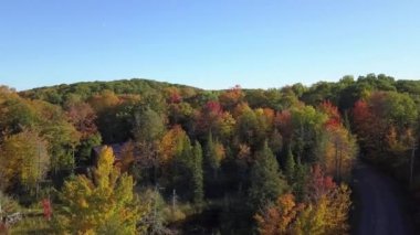 Drone crane shot getting higher than the colorful trees of the Fall in the country