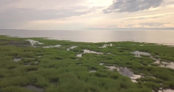 Flygfoto Rör Sig Över Stranden — Stockvideo