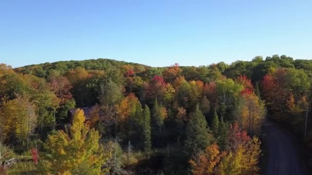 Drone Crane Shot Getting Higher Colorful Trees Fall Country — Video