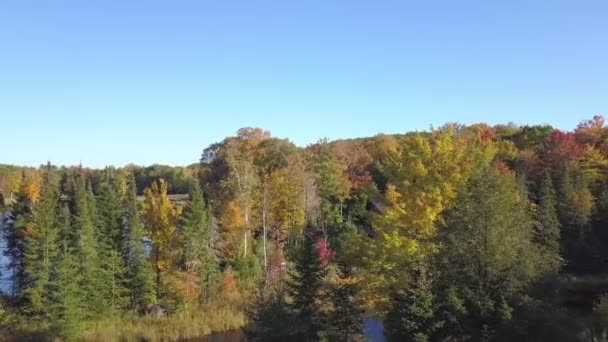 Aerial Drone Video Moving Back Trees Fall Quiet Lake — ストック動画