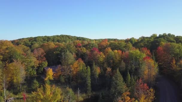 Drone Crane Shot Moving Revealing Colorful Trees Fall Country — Videoclip de stoc