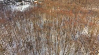 Hava aracının kışın Bois de la Source 'a inişi çıplak ağaçları gösteriyor.