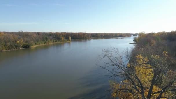 Drone Vídeo Panorámica Detrás Árbol Desnudo Caída Moviéndose Sobre Río — Vídeos de Stock