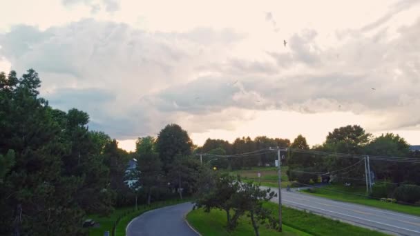 Drone Crane Shot Showing Stormy Clouds Seagull Flying Sky Sunset — Stockvideo