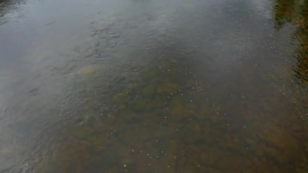 Flygdrönare Video Filma Den Genomskinliga Vattnet Matane Floden Och Avslöja — Stockvideo