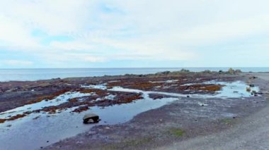 İHA 'nın Gaspesie' deki St. Felicite 'deki kaya saldırısının üzerinde alçak irtifada ilerlediği video..