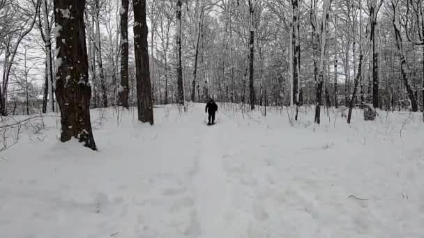 Video Einer Frau Die Nach Einem Schneesturm Mit Schneeschuhen Durch — Stockvideo