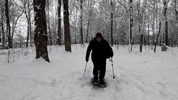 Видео Женщины Снегоступах Заснеженном Подлеске — стоковое видео