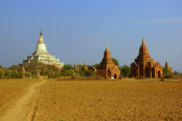 Стародавні храми в Баґані (М "янма). — стокове фото