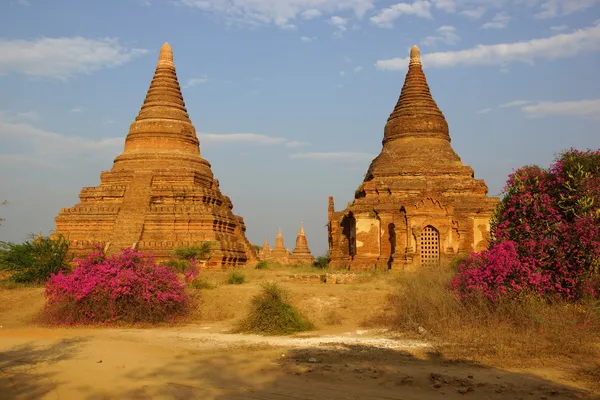Стародавні храми в Баґані (М "янма). — стокове фото