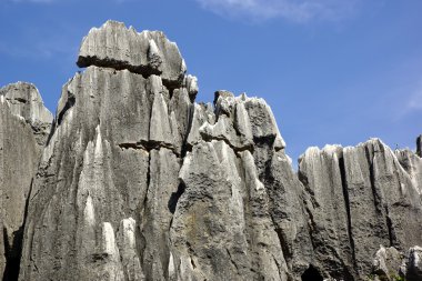 shilin taş orman kunming, yunnan, Çin