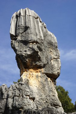 shilin taş orman kunming, yunnan, Çin