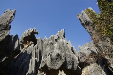 shilin taş orman kunming, yunnan, Çin
