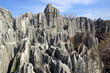 shilin taş orman kunming, yunnan, Çin