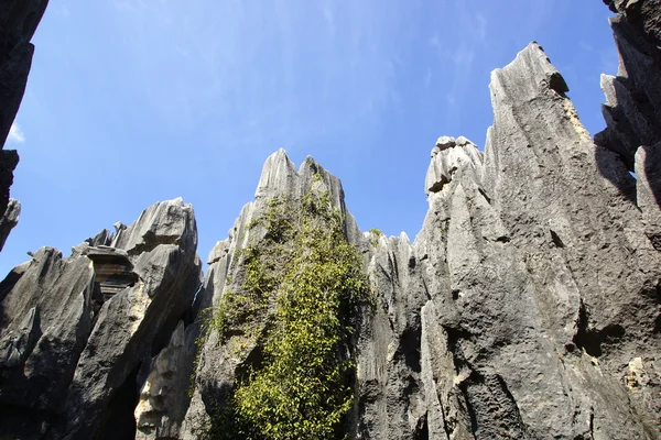 Shilin Stone Forest em Kunming, Yunnan, China — Fotografia de Stock