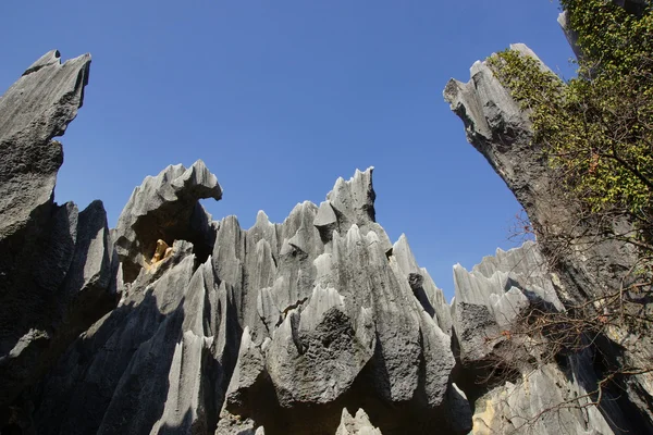 Foresta di pietra di Shilin a Kunming, Yunnan, Cina — Foto Stock
