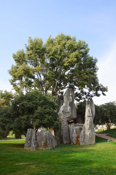 Bosque de piedra Shilin en Kunming, Yunnan, China — Foto de Stock