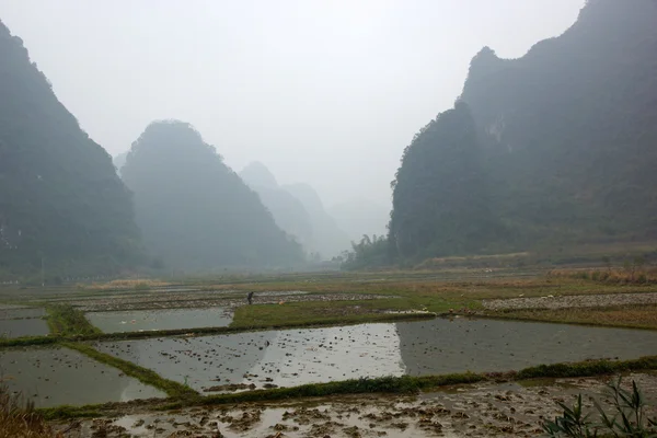 Yu lång flodlandskap i yangshuo, guilin, guanxi provinsen, Kina — Stockfoto