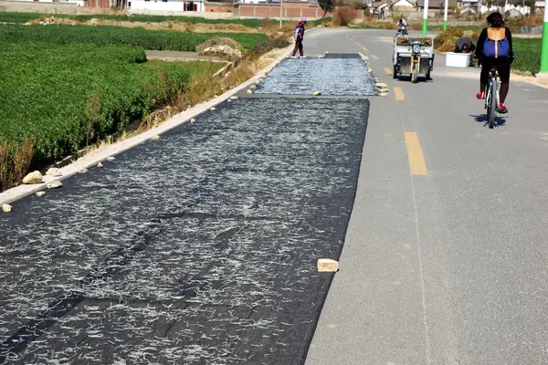 Insanlar erhail gölde, dali, balıkçılık yunnan Eyaleti, Çin — Stok fotoğraf