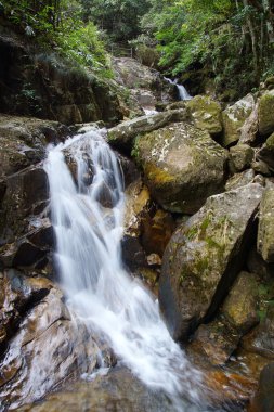 şelale wuyishan Dağı, fujian province, Çin yakınındaki