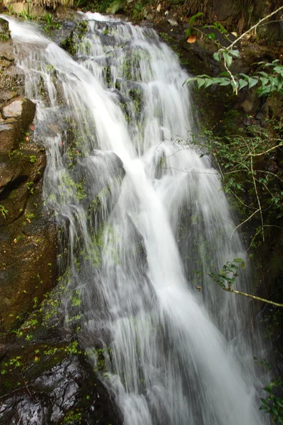 Cascade près de Wuyishan Mountain, province du Fujian, Chine — Photo