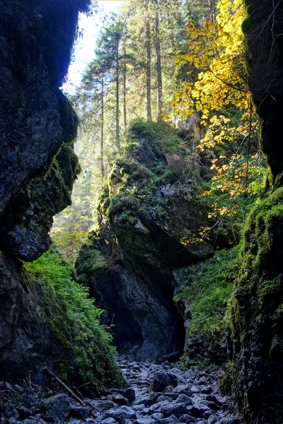 Gorge de Cracovie dans les monts Tatras, Pologne — Photo