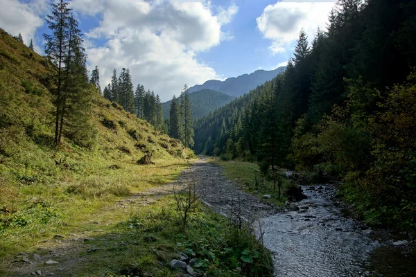 波兰上塔特拉山山崩地貌景观 — 图库照片