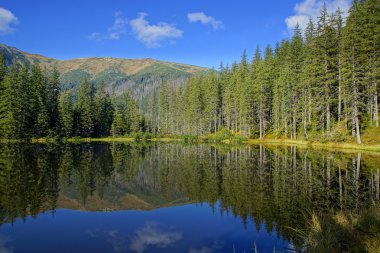 smreczynski göl koscieliska Valley, Polonya tatras Dağları üzerinde yansıma
