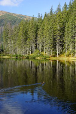 smreczynski göl koscieliska Valley, Polonya tatras Dağları üzerinde yansıma