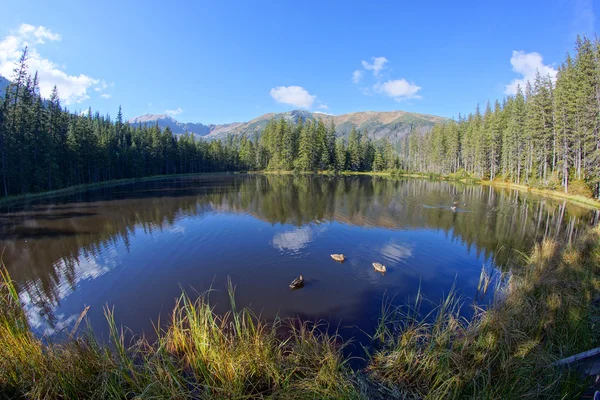 Reflexão sobre o lago Smreczynski no Vale do Koscieliska, Montanhas Tatras na Polônia — Fotografia de Stock