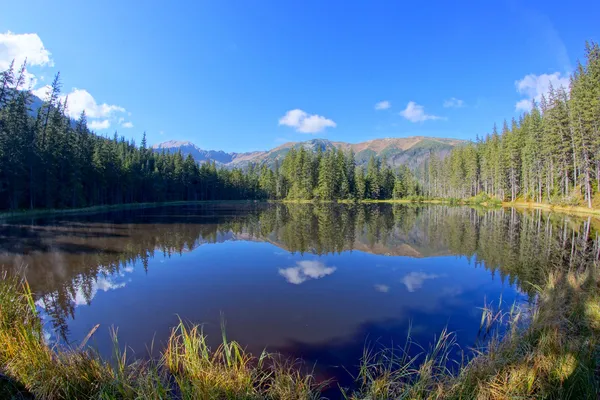 Reflexão sobre o lago Smreczynski em Koscieliska Valley, Tatras Mou — Fotografia de Stock