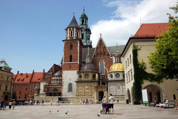 Wawel Cathedral on the Wawel Hill in Krakow (Cracow) — Stock Photo, Image