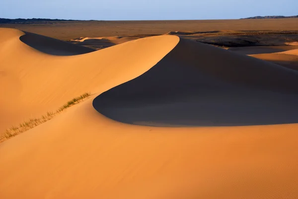 Pustynia krajobraz, pustynię gobi, mongolia — Zdjęcie stockowe