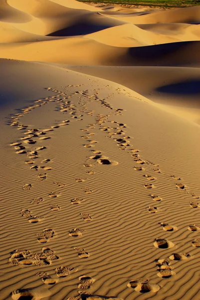 Paisaje del desierto de gobi con huella en la arena, Mongolia — Foto de Stock