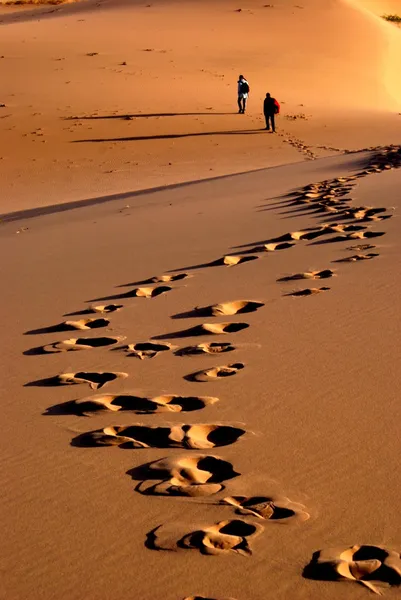 Desert landscape of gobi desert with footprint in the sand, Mongolia — Stock Photo, Image