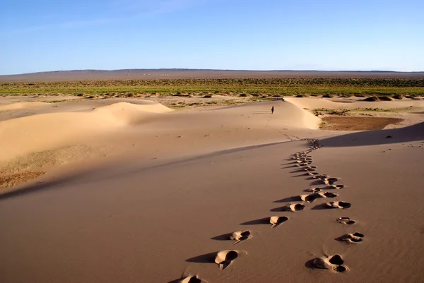 Woestijn landschap van Gobiwoestijn met voetafdruk in het zand, Mongolië — Stockfoto