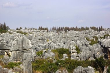 shilin taş orman Kunming, yunnan Eyaleti, Çin