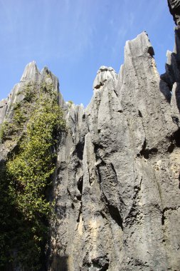 shilin taş orman Kunming, yunnan Eyaleti, Çin
