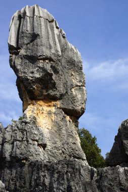 shilin taş orman Kunming, yunnan Eyaleti, Çin