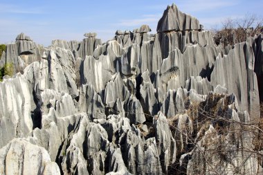 shilin taş orman Kunming, yunnan Eyaleti, Çin
